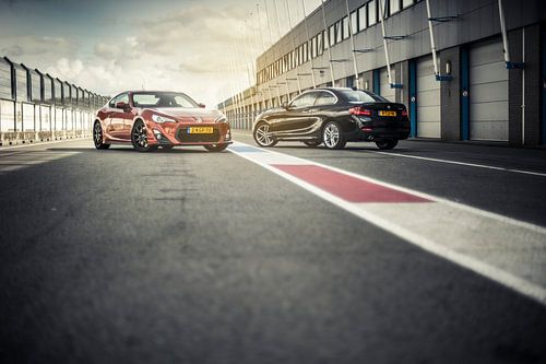 Cockfight by Sytse Dijkstra