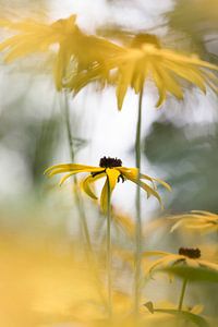 Schöne Natur