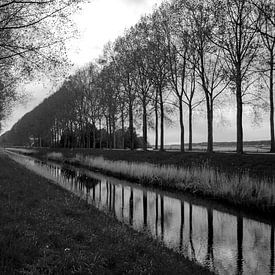 Arbres se reflétant dans l'eau près de Sint-Laureins (Belgique) - Noir et blanc sur FotoGraaG Hanneke