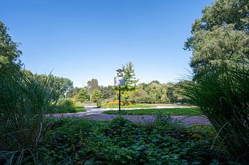 Zaandam Field Park by Peter Bartelings