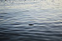 Rust op het water