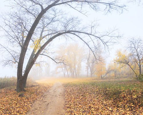 Die letzten Tage des Herbstes