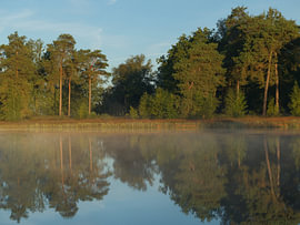 Lever du soleil à Dwingelderveld (Pays-Bas)