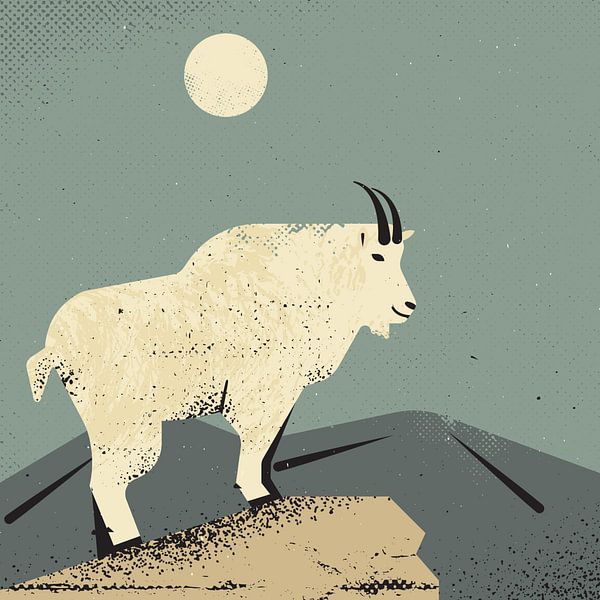 Mountain Goat by Vision Grasp Art