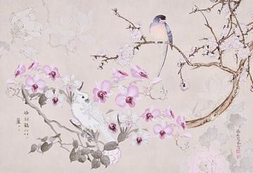 Chinoiserie vintage sur Andrea Haase