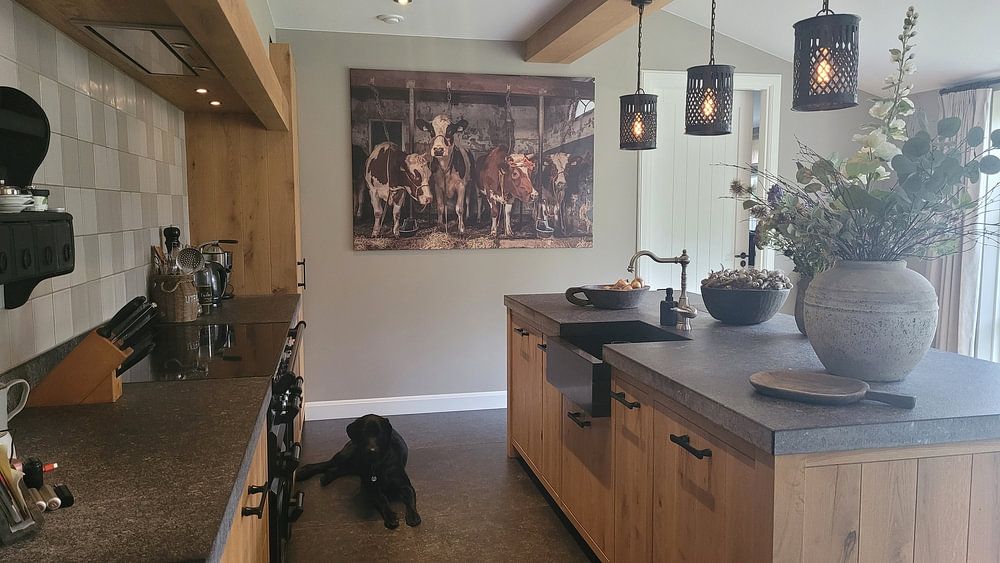 Kühe im alten Kuhstall  von Inge Jansen 