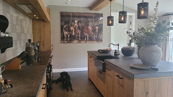 Kundenfoto: Kühe im alten Kuhstall von Inge Jansen, auf Leinwand