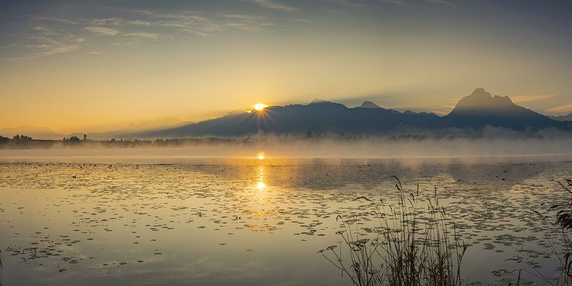 Sonnenaufgang am Hopfensee von Walter G. Allgöwer