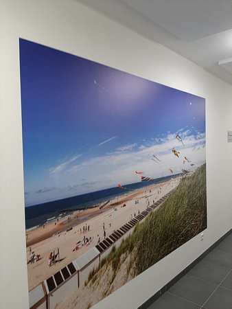 Kite festival 150 years Badhotel Domburg