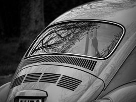 Timeless Beauty: A Detailed Look at the Rear of the Old Volkswagen Beetle