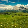Alpe di Siusi dans les Dolomites sur Reiner Würz / RWFotoArt