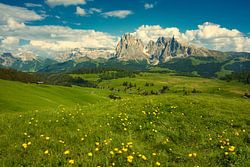 Seiser Alm in de Dolomieten