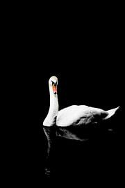 in diep zwart water von YH photoarts