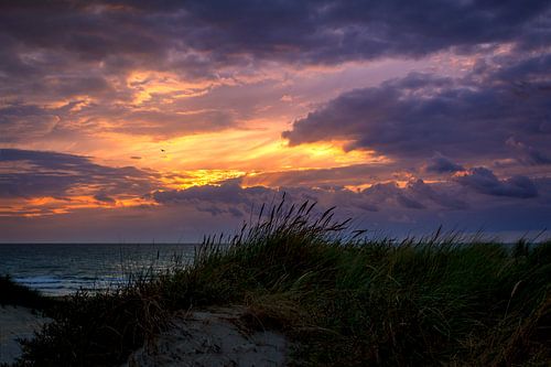 Contrastrijke kleurige zonsondergang aan de Nederlandse kust met de duinen.