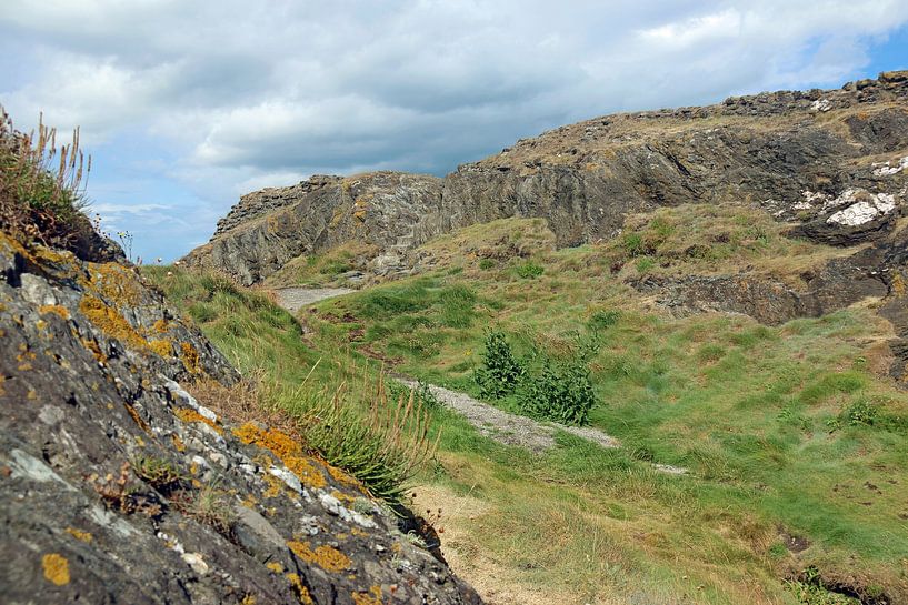 Sentier de randonnée en Irlande, Wicklow par Silvia Weenink