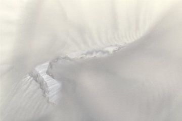 Weißes Gefüge – Struktur und Licht im Spiel von Mixed media vector arts