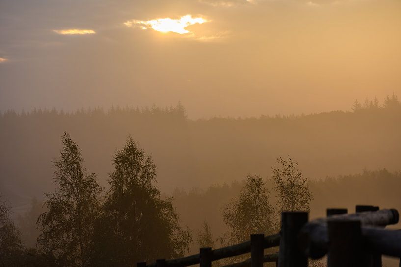 gouden lucht van Tania Perneel