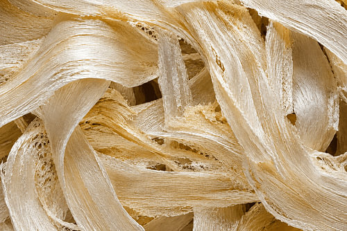 Jackfruit Core Fibers - Indonesia -  Natural Abstract