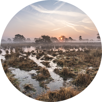 Het Leersumse veld van Albert Lamme