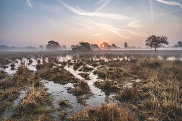 Het Leersumse veld by Albert Lamme