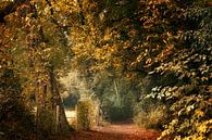 All Autumn by Kees van Dongen thumbnail