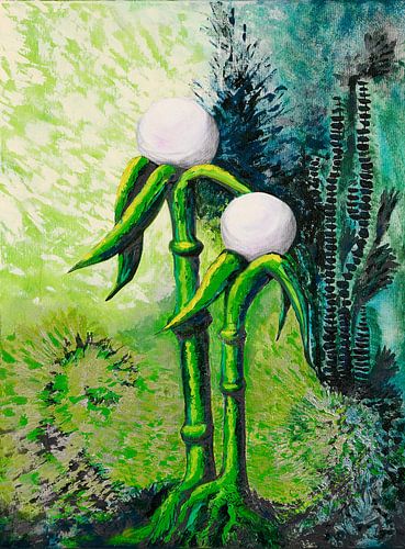 Licht en schaduw van Canvassio