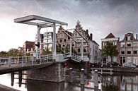 Haarlem fotografierte am Morgen von heidi borgart Miniaturansicht