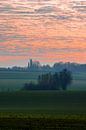 Kleurige zonsopgang op een mistige morgen tussen de weilanden in de herfst van Kim Willems thumbnail