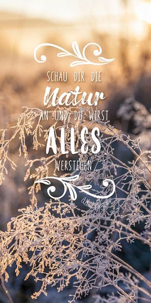 Paroles de sagesse : Regarde la nature ... Albert Einstein par Christian Müringer