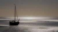 Herfstmorgen bij een zonnige waddenzee.
