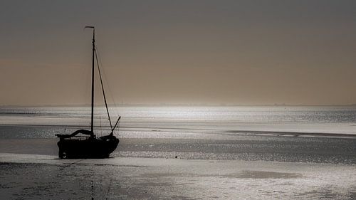 Matin d'automne au bord d'une mer des Wadden ensoleillée.