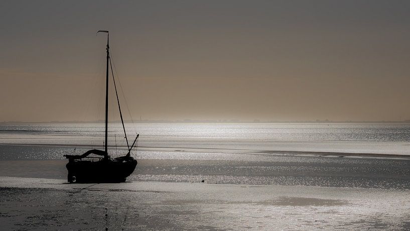 Matin d'automne au bord d'une mer des Wadden ensoleillée. par Nico Boersma