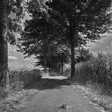 Avenue in zwart-wit van Christian Harms