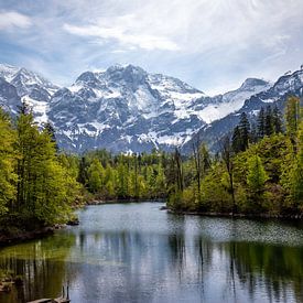 Großer Ödsee, Opper-Oostenrijk van Markus Weber