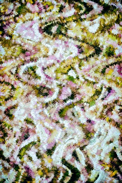 The Paths we Walked van GOOR abstracten