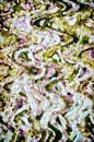 The Paths we Walked van GOOR abstracten thumbnail