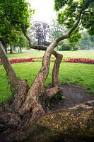 Arbre artificiel