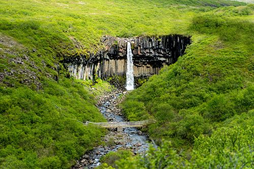 Svartifoss Wasserfall im Skaftafell Nationalpark