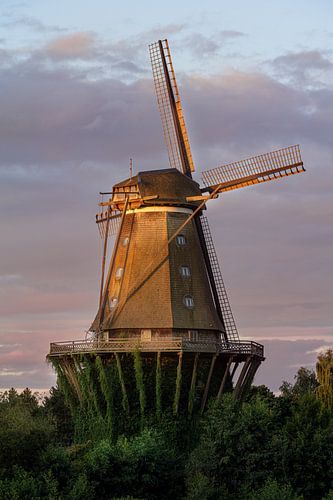 The mill in Gifhorn in the morning