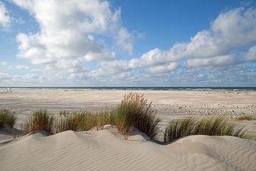 Beach of Terschelling by Helga Kuiper