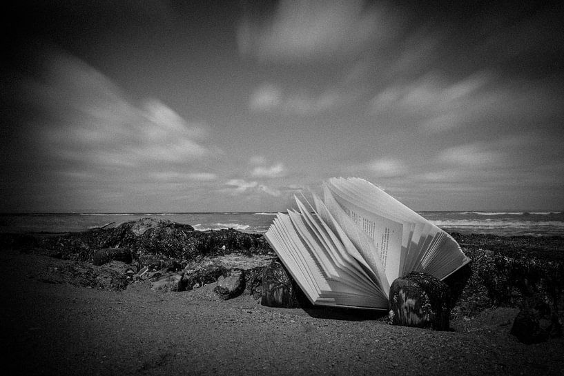 Buch am Meer von nilix fotografie