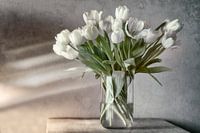 Wit boeket tulpen