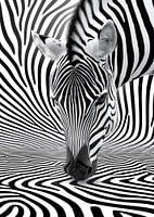Zebrastrepen