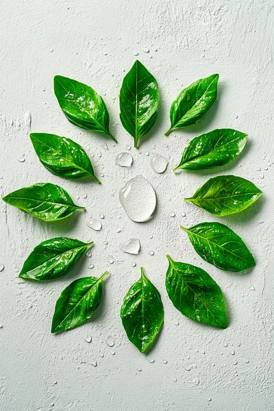 Basil arrangement by Poster Art Shop