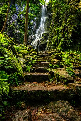 Burgbach waterval in het Zwarte Woud, zomer
