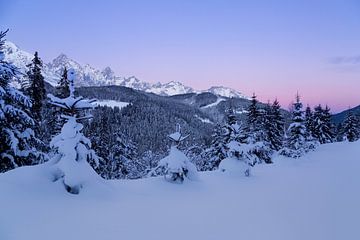 Schneebedeckte Berglandschaft während der blauen Stunde