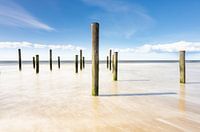 Palendorp Petten