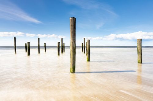 Palendorp Petten van Captured by Herman