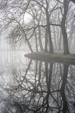 Spiegel van de Stilte – Mistige Ochtend bij de Wenumse Watermolen