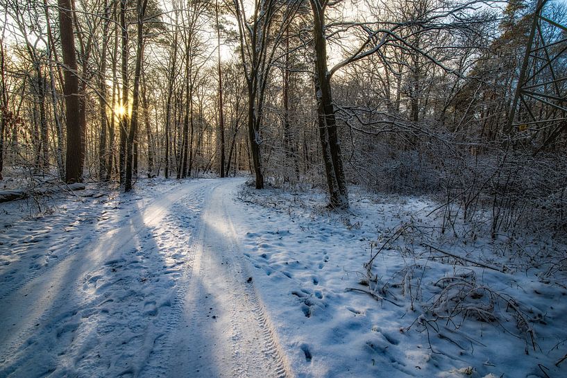 Wandelen in de winter van Thomas Riess